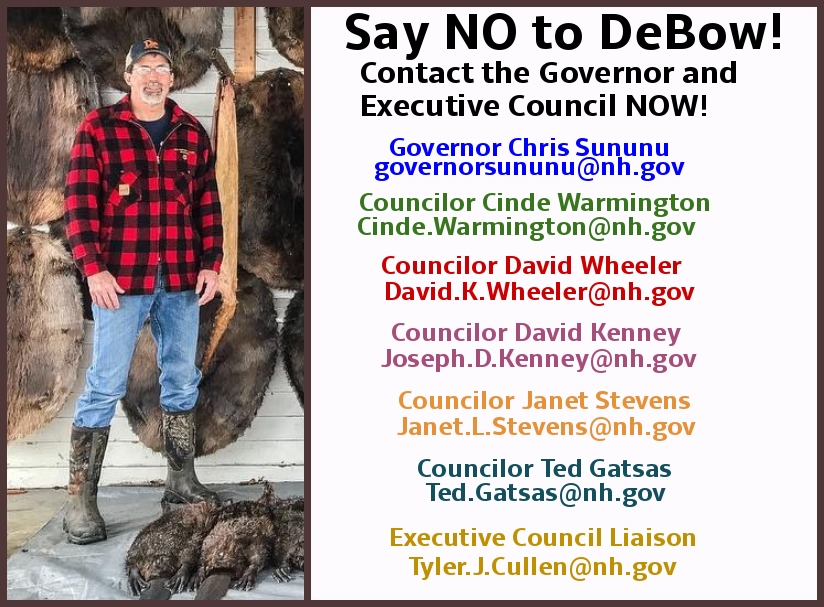 Paul DeBow is up for reappointment to the NH Fish & Game Commission. He is a prolific trapper who has spoken publicly against non hunting/trapping members of the public and stated he will petition to bring back bobcat trapping. #NHPolitics #ProtectNHBobcats