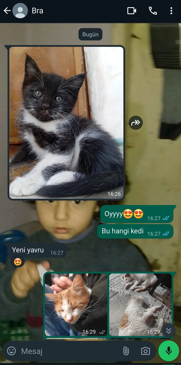 Erkek kardeşim günümü şenlendirdi😻