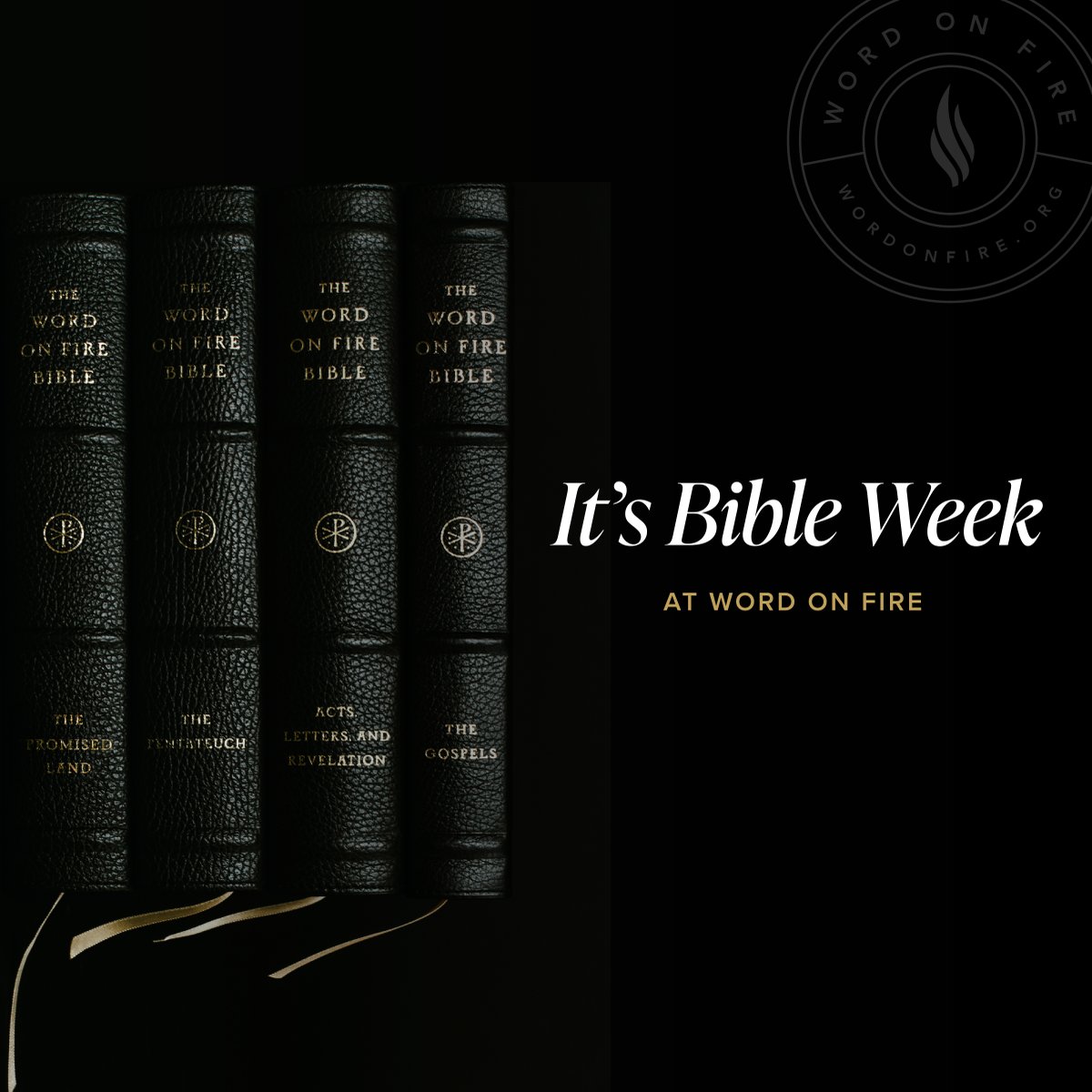It’s Bible Week at Word on Fire! All volumes of “The Word on Fire Bible” are 20% OFF!

Experience the Bible like never before at bible.wordonfire.org.