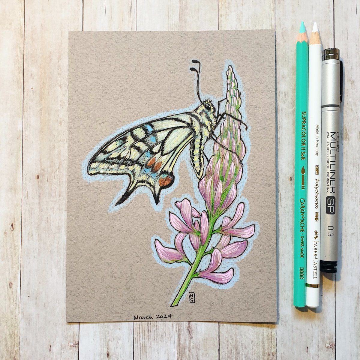 A swallowtail butterfly. This is an original drawing for a very affordable price, would make a lovely gift.  Visit my shop today to find out more...
theweeowlart.etsy.com/listing/169147…
#butterfly #Swallowtail #insect #OriginalArt #drawing #PenAndInk #ColourPencil #art #TraditionalArt