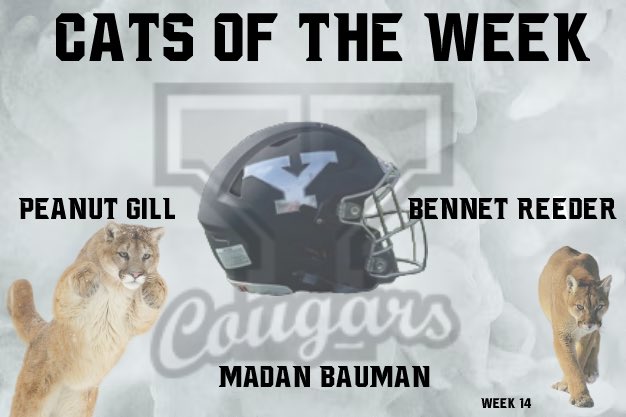 ICYMI…week 14 Cats of the Week…Congratulations!!! Keep up the good work! @_YorkStrength @YorkRecruits