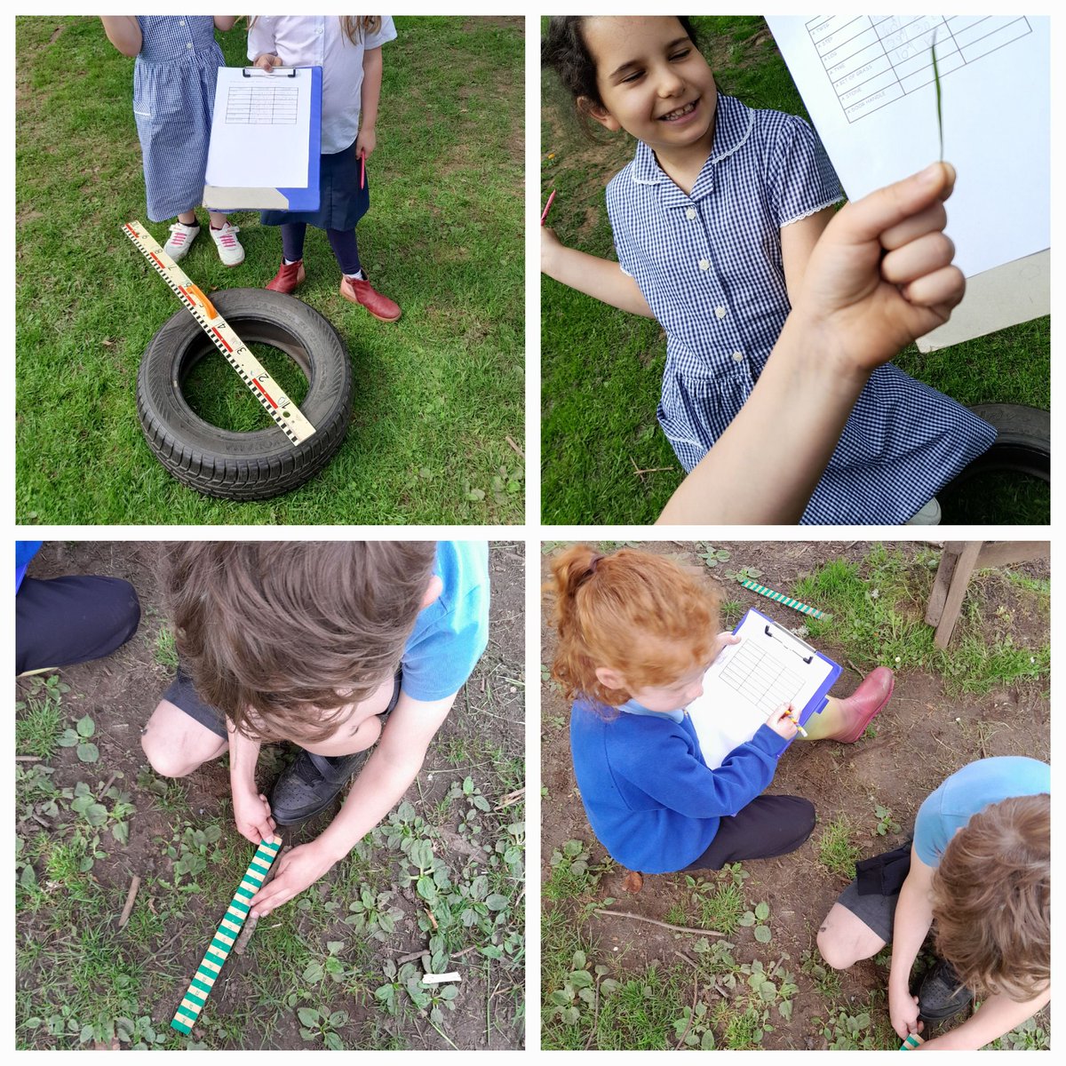 The Royal School of Dunkeld (@royaldunkeldps) on Twitter photo To celebrate #OutdoorLearningWeek, we did some estimating and measuring in the playground. We worked in pairs and really enjoyed our Measure Treasure Hunt! <a href="/OutdoorClassDay/">Outdoor Classroom Day</a> <a href="/HwbPkc/">PKC_HWB</a> <a href="/NumeracyPKC1/">Numeracy@PKC</a> To celebrate #OutdoorLearningWeek, we did some estimating and measuring in the playground. We worked in pairs and really enjoyed our Measure Treasure Hunt! <a href="/OutdoorClassDay/">Outdoor Classroom Day</a> <a href="/HwbPkc/">PKC_HWB</a> <a href="/NumeracyPKC1/">Numeracy@PKC</a>