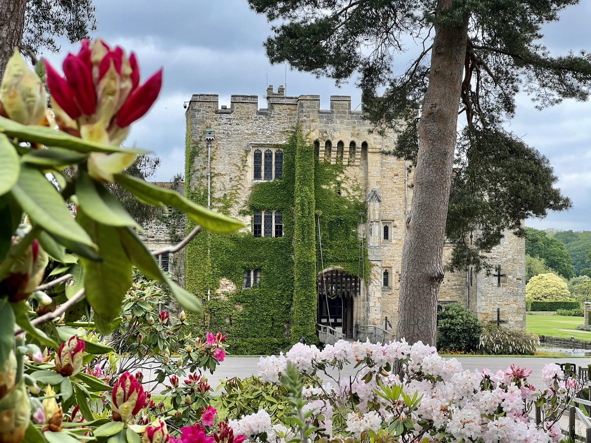 A gorgeous view of the Castle through the rhododendrons ❤️ #HeverCastle