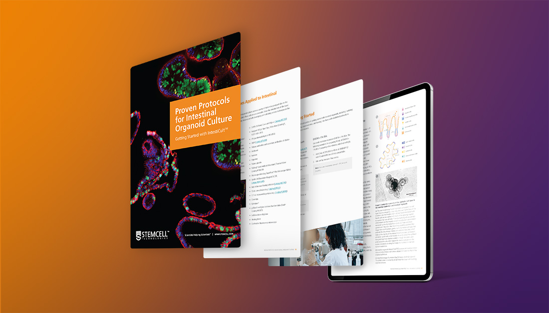 Discover your ultimate resource for integrating intestinal organoids into your experiments. 📖 Download our NEW free e-book for protocols on isolating tissue and establishing organoid culture: bit.ly/44DJdJ5