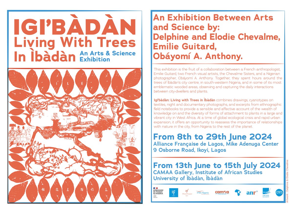 1/After long hours spent under the trees of Ìbàdàn with the visual artists the Chevalme Sisters and <a href="/obayomianthony/">Obáyomí</a>, we are very excited to present the fruit of this collaboration, between arts and anthropology, with the exhibition "Igi’bàdàn: Living with Trees in Ìbàdàn" 🌿🌴🌳