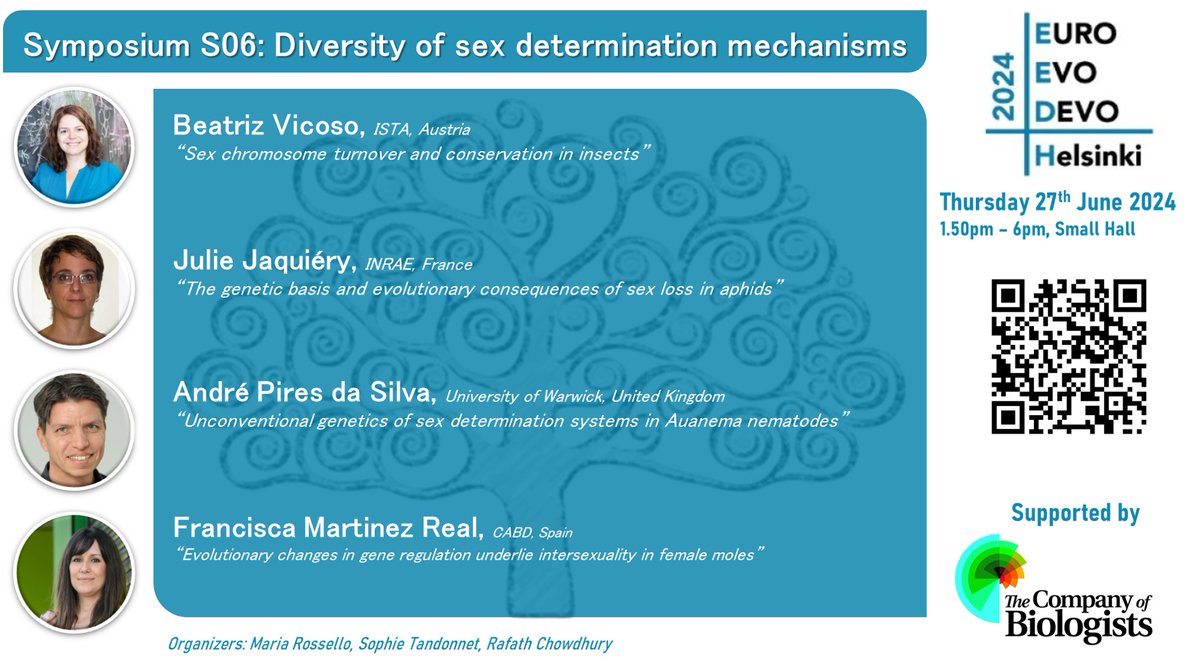 RafathChowdhur1's tweet photo. Happy to announce that @_mariarx, @SophieTandonnet and myself will organise a symposium at the @EED2024  to talk about "Diversity of sex determinism mechanisms" with Beatriz Vicoso, Julie Jaquiéry, André Pires da Silva and @RealFany ! Join us on Thursday 27th June afternoon! https://t.co/Uu7hay7uuO