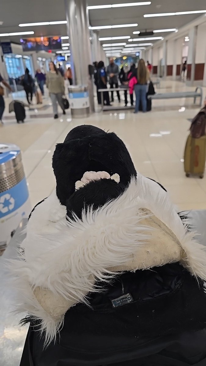 With the con coming to an end, it was great to see everyone again. Meeting new friends and seeing old friends it was all a great time as it always is #FWA2024