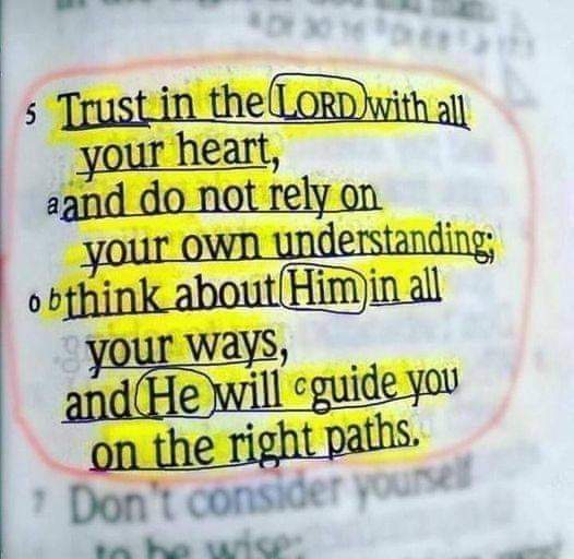 Trust in the Lord with all your heart, and do not lean on your own understanding. In all your ways acknowledge him, and he will make straight your paths. Proverbs 3:5-6 ✝️🙏🕊❤️