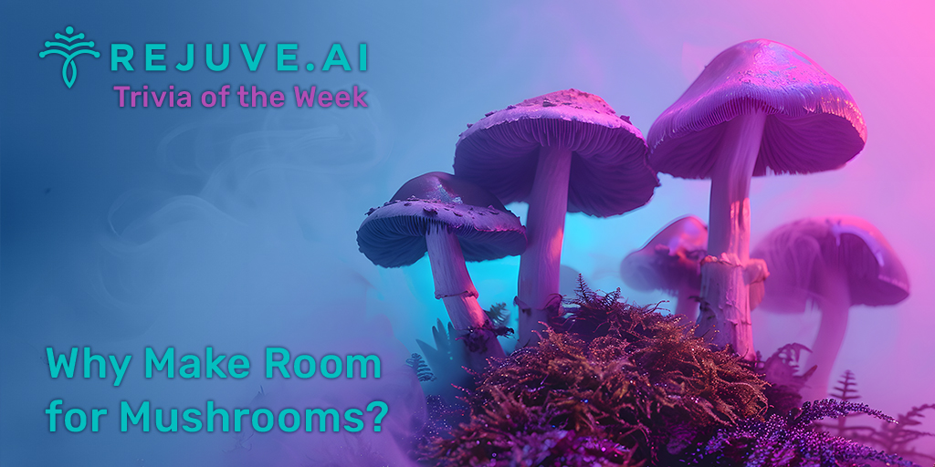 🎉 Join Rejuve.AI's Weekly Trivia! 🌟 What's the reduction in all-cause mortality risk with mushroom consumption? 🍄 🏆 Chance to win a 1,000 RJV prize! Winner announced after quiz ends, 10 AM UTC, May 14th. t.me/rejuvecommunit… Good luck! 🍀 #RejuveAIQuiz 🧬