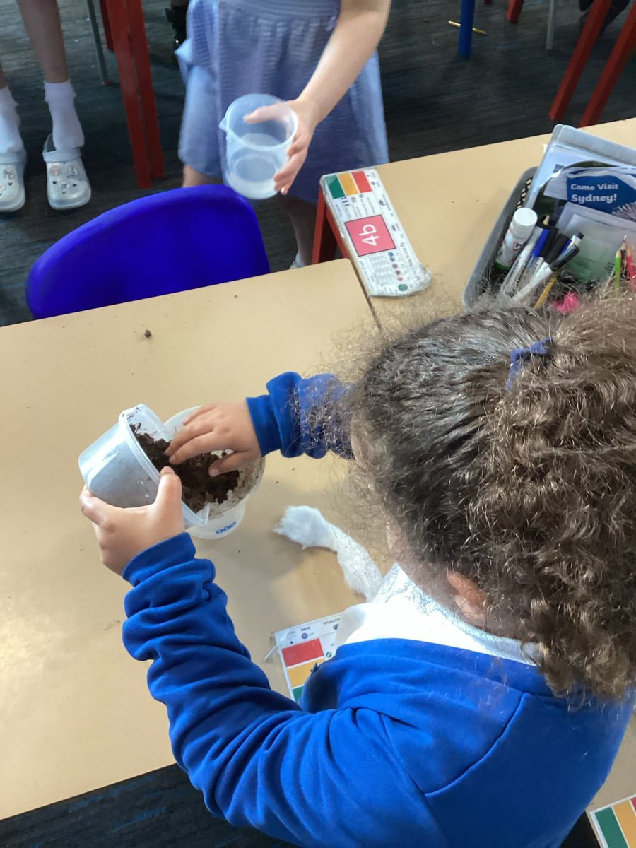 Today Year 3 have been investigating 4 different soils to see which were the best drainers and soakers. In 3B we found that the woodland and school ground soils were the best at draining water, while Miss Smith and Miss Rice had soaker soils in the gardens.