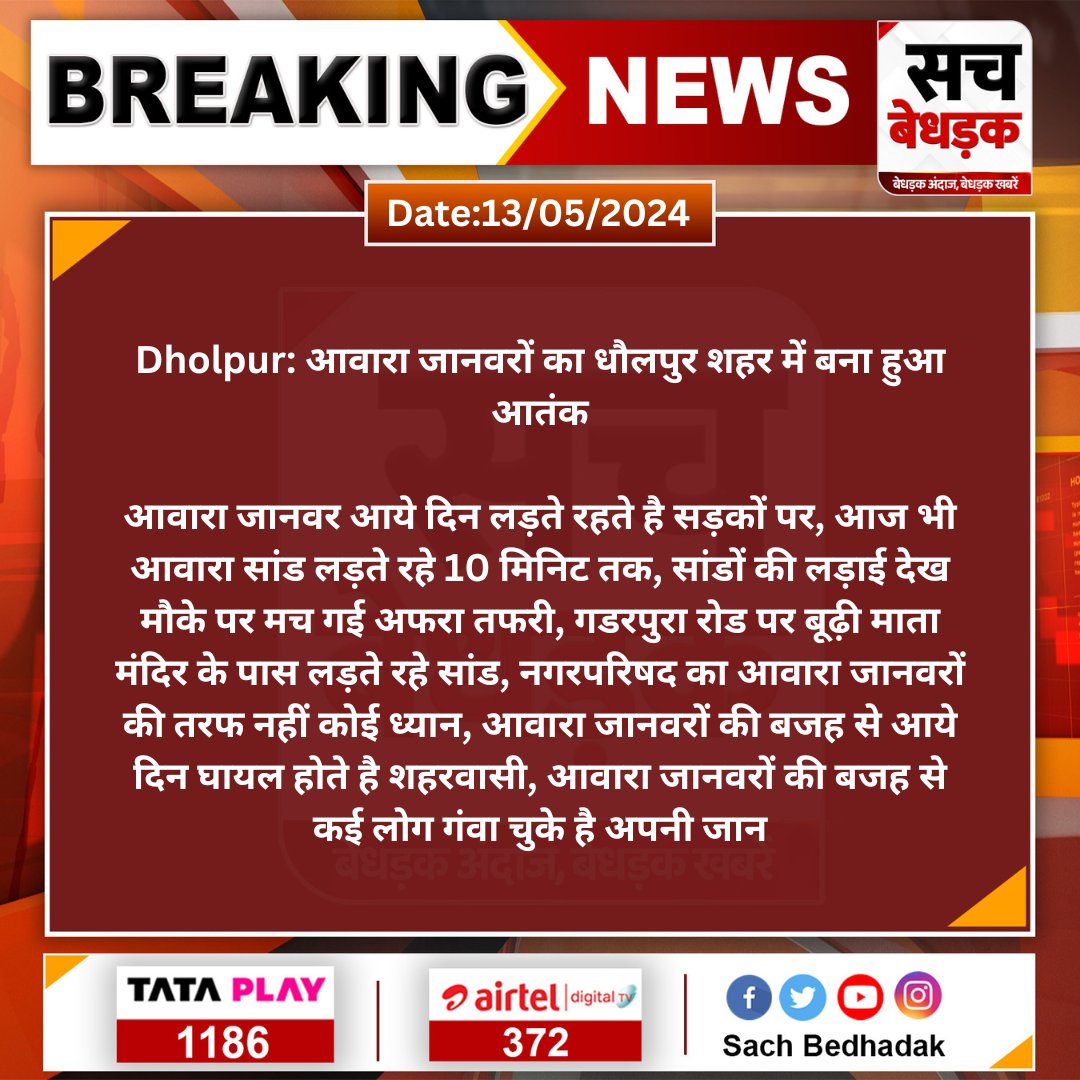 #Dholpur: आवारा जानवरों का धौलपुर शहर में बना हुआ आतंक आवारा जानवर आये दिन लड़ते रहते है सड़कों पर, आज भी आवारा सांड लड़ते रहे 10 मिनिट तक, सांडों की लड़ाई देख मौके पर मच गई अफरा तफरी... @DholpurPolice #SachBedhadak