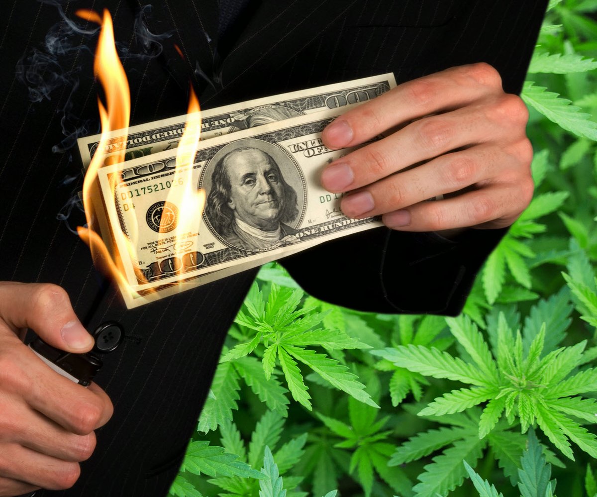 $9 Billion in Revenue and $2 Billion in Losses - Why the Marijuana Industry May Never Be Profitable for Investors 📉 
tinyurl.com/yl3oksdc
 #CannabisIndustry #Losses #Retail #Dispensaires #Investors