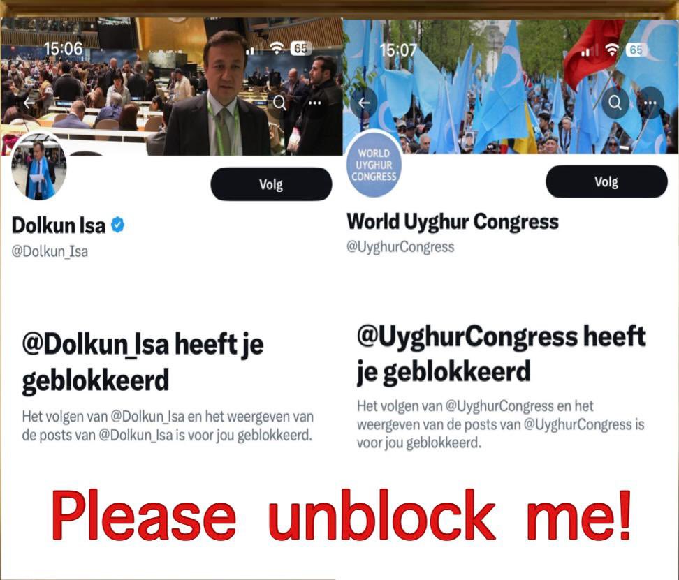 Blocked: I stand in solidarity with the women who bravely shared their experiences of harassment in the human rights advocacy community. I respectfully raised my concerns as constructive criticism to @Dolkun_Isa and @UyghurCongress and was blocked. Please consider unblocking me!