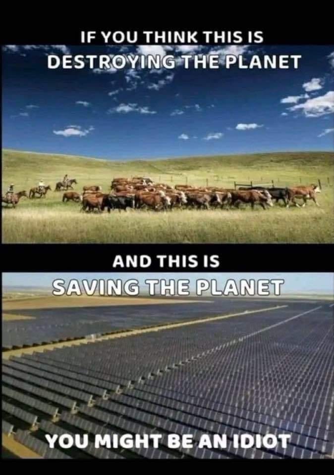 in freier Übersetzung,
o b e n :
Rinder sollen die Erde zerstören ?
u n t e n :
Aber riesige Photovoltaik-Anlagen retten die Welt ?
Könnt's sein, dass Du
🌻 einer GRÜNEN Klima-SEKTE voll auf den Leim gehst...??