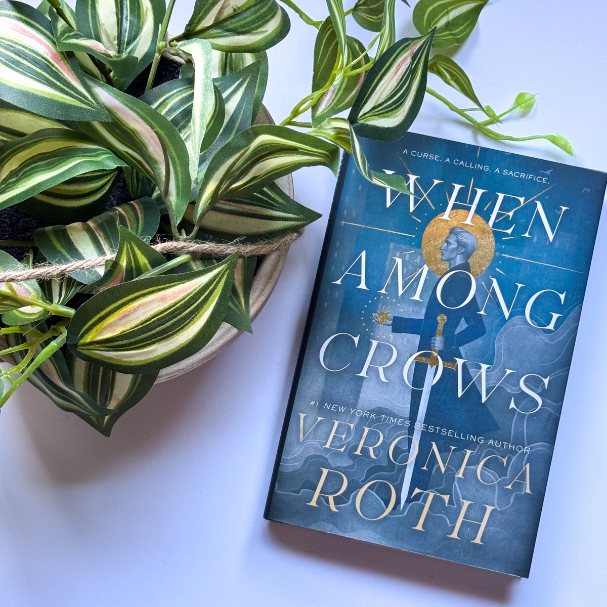 Who's ready for a #sweepstakes?! Today, we're giving YOU the chance to win a finished copy of #WhenAmongCrows by Veronica Roth! 🔅 Follow, like, and repost to enter! Good luck! ⁣⁣⁣ #WhenAmongCrowsSweeps