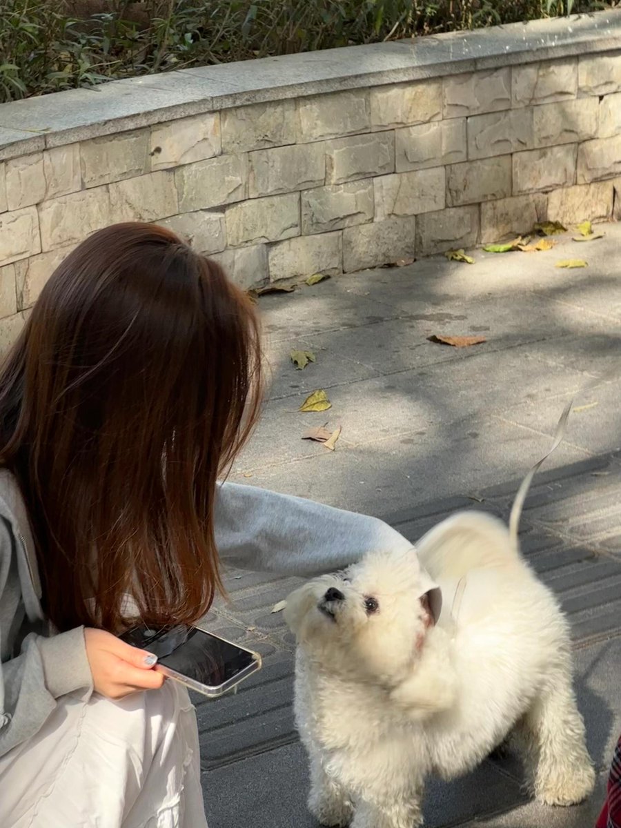 rezzaaditya076's tweet image. Fur-ever loyal companion🐶