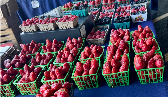 Today is farmers market day at the Wilma Chan Highland Hospital Campus! Join us every Monday from 11 a.m. to 3 p.m. to purchase fresh produce and prepared foods. Plus, you’ll support local BIPOC farmers. Located at 1411 E 31st Sreet, to the right of the hospital entrance.