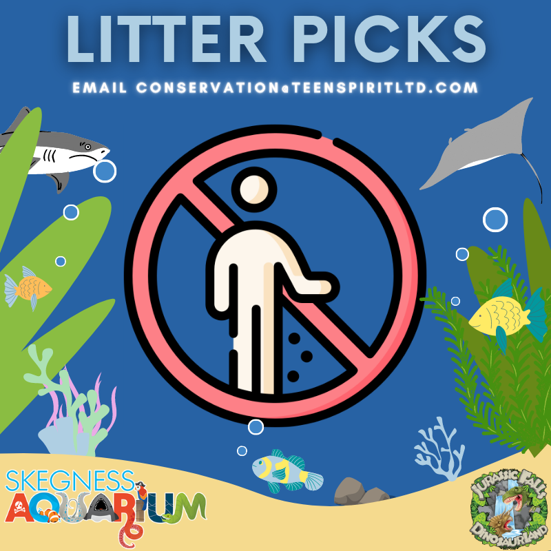 Join us on our next litter pick! 🚯

Email conservation@teenspiritltd.com for more info