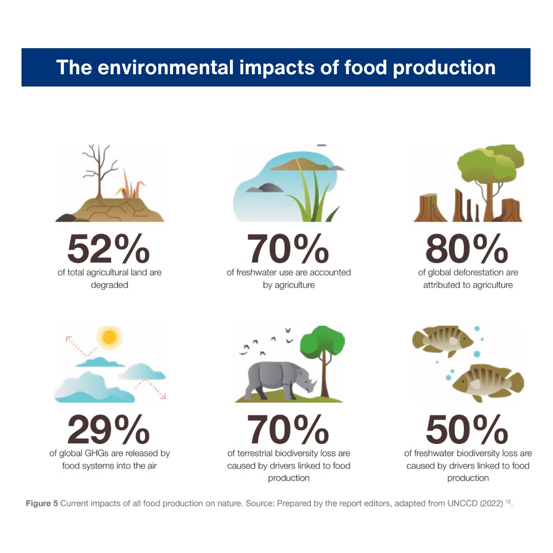 Did you know? Oil crops use over 1/3 of all agricultural land. As demand soars, it's imperative to adopt better production practices to limit the environmental and social impact.  A new report describes how this can be made possible. bit.ly/3JU7xN2