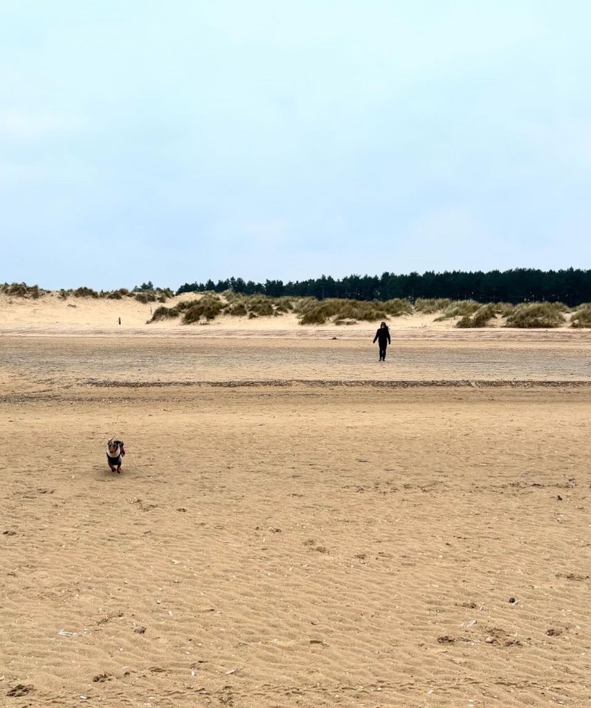 Ethan Taylor tweet media