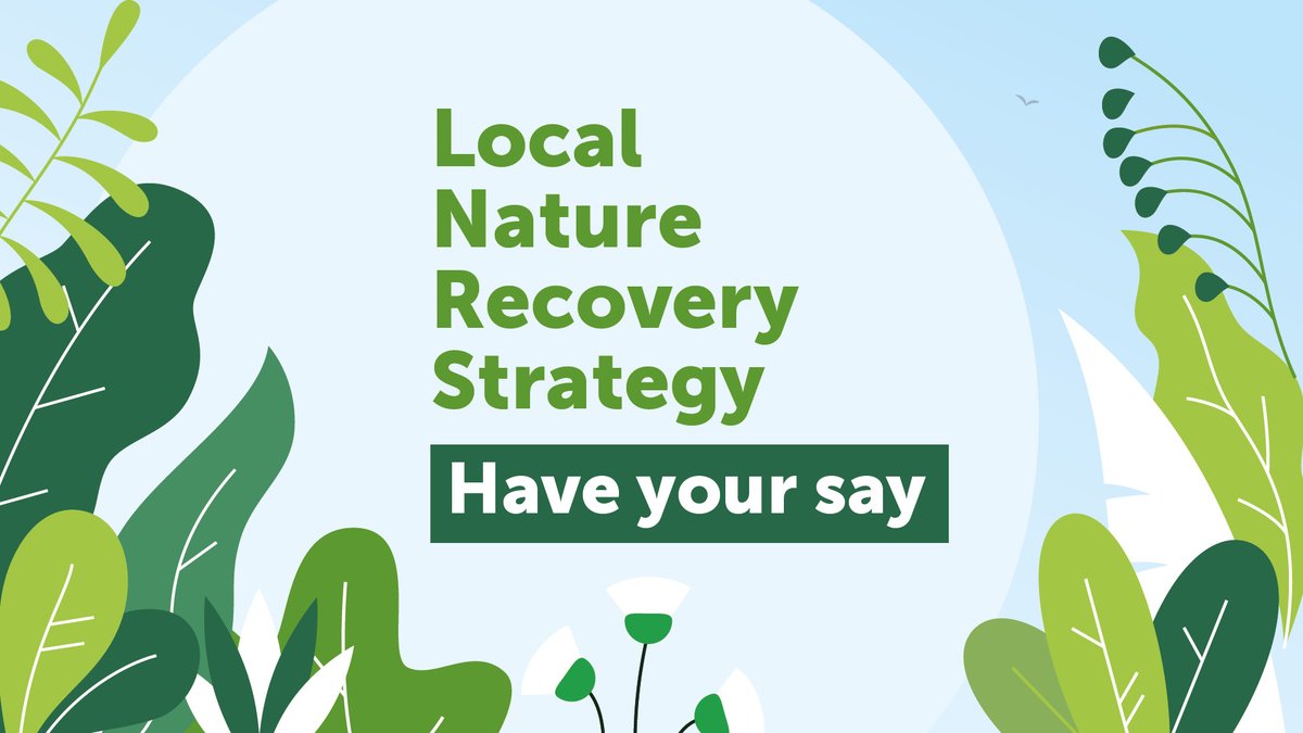 🌿 We're developing a Local Nature Recovery Strategy (LNRS) for Norfolk and we want to know what parts of nature matter most to you, and where in Norfolk you love to explore. Visit orlo.uk/hpHGg Survey closes Sunday 30 June.