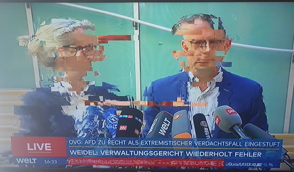 <a href="/schwurbelhunter/">Schwurbelhunter 🇺🇦 Nafo 🎗️</a> <a href="/SabineSmolka/">Smolka Sabine</a> Die AfD gibt ein viel zu zerrissenes Bild ab um sie wählen zu können.