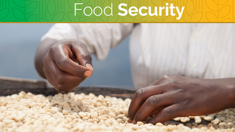 Discover the four critical dimensions of food security. Join us in raising awareness to guarantee universal access to nutritious food! To learn more visit ➡️ bit.ly/3WEd5mx #foodsecurity #YALI4OurFuture #ClimateChange #ClimateActionAfrica