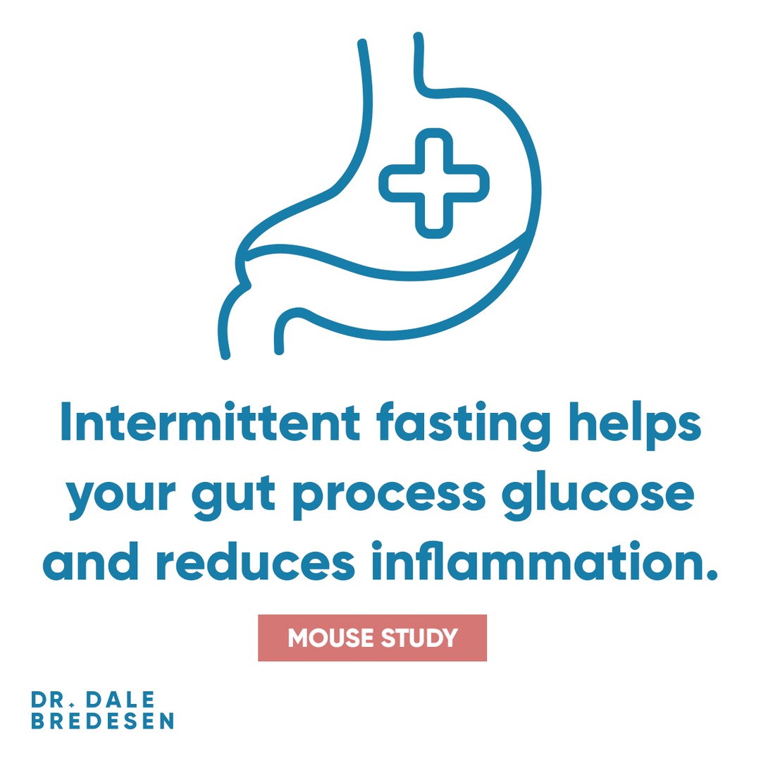 Intermittent fasting (IF) is one of the most popular diets in America, and fasting for 12-16 hours is part of KetoFLEX 12/3. Research shows that IF helps with weight loss, CVD, cancer, and more. Now, a mouse study has found that it protects your gut. medicalnewstoday.com/articles/can-i…