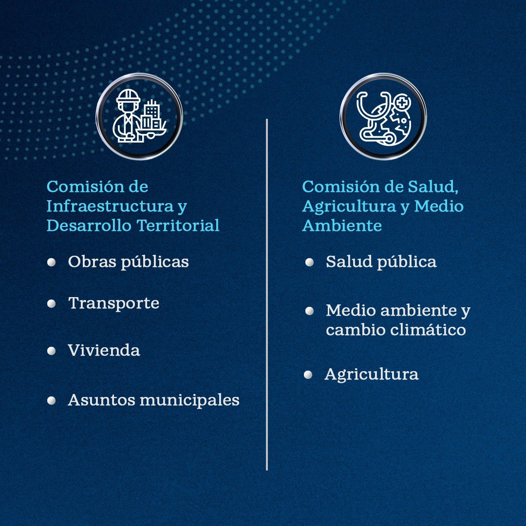 Las 8 comisiones que nacen luego de la reforma al RIAL tocarán los mismos temas que las 20 comisiones del pasado. El trabajo será ahora más eficiente, y los recursos mejor utilizados.