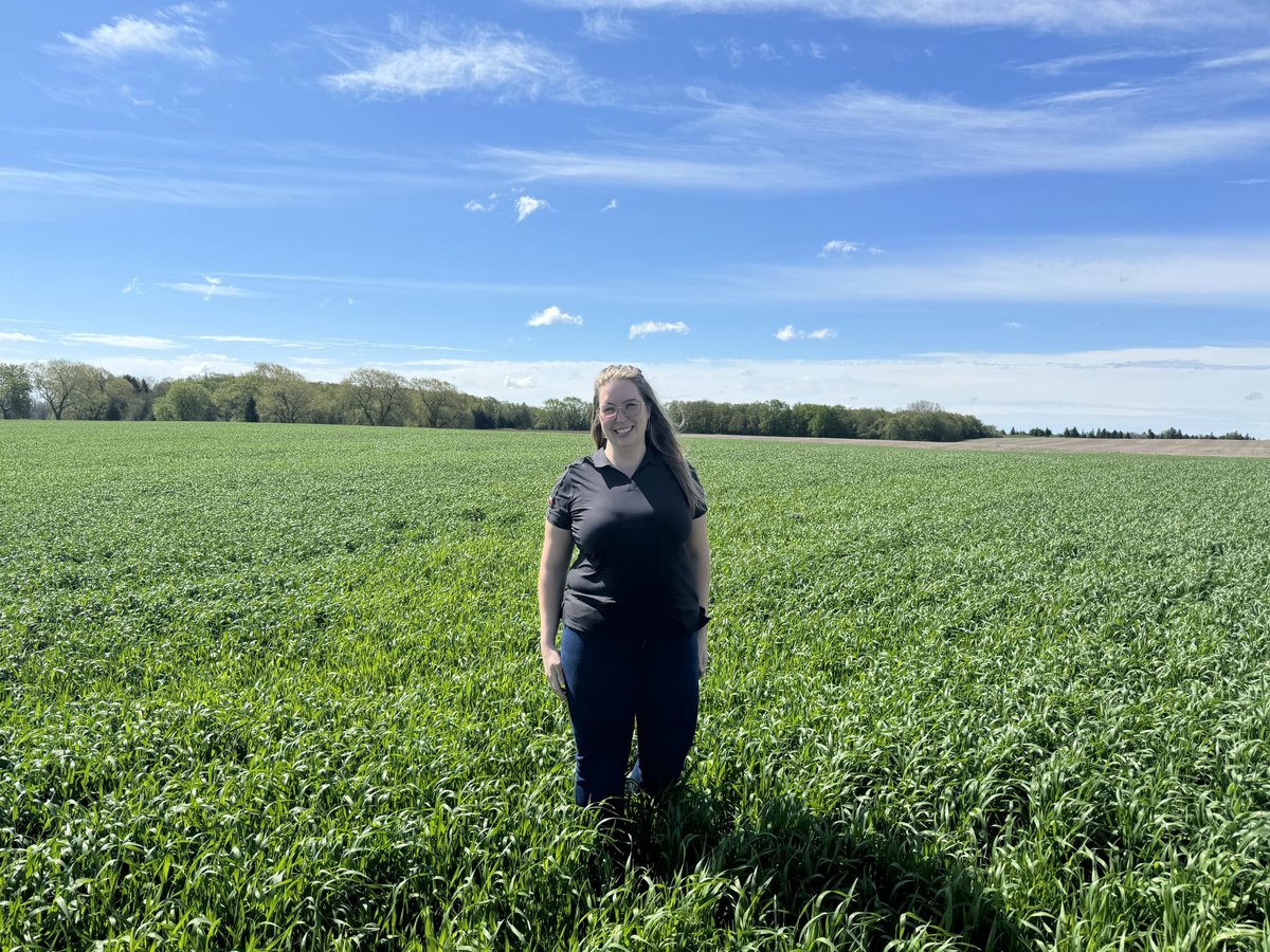 KaitlandVSpek's tweet image. Showed our fearless boss @AgrowErrin from the West (SK) what an Eastern Ontario spring looks like 🌽 🌧️ ☀️😄

…. We were sure to check the radar every hour in true Ontario spirit 🙃🌧️

#WinfieldUnitedCanada #Croplan #WetSpring #ONRetails #plant24