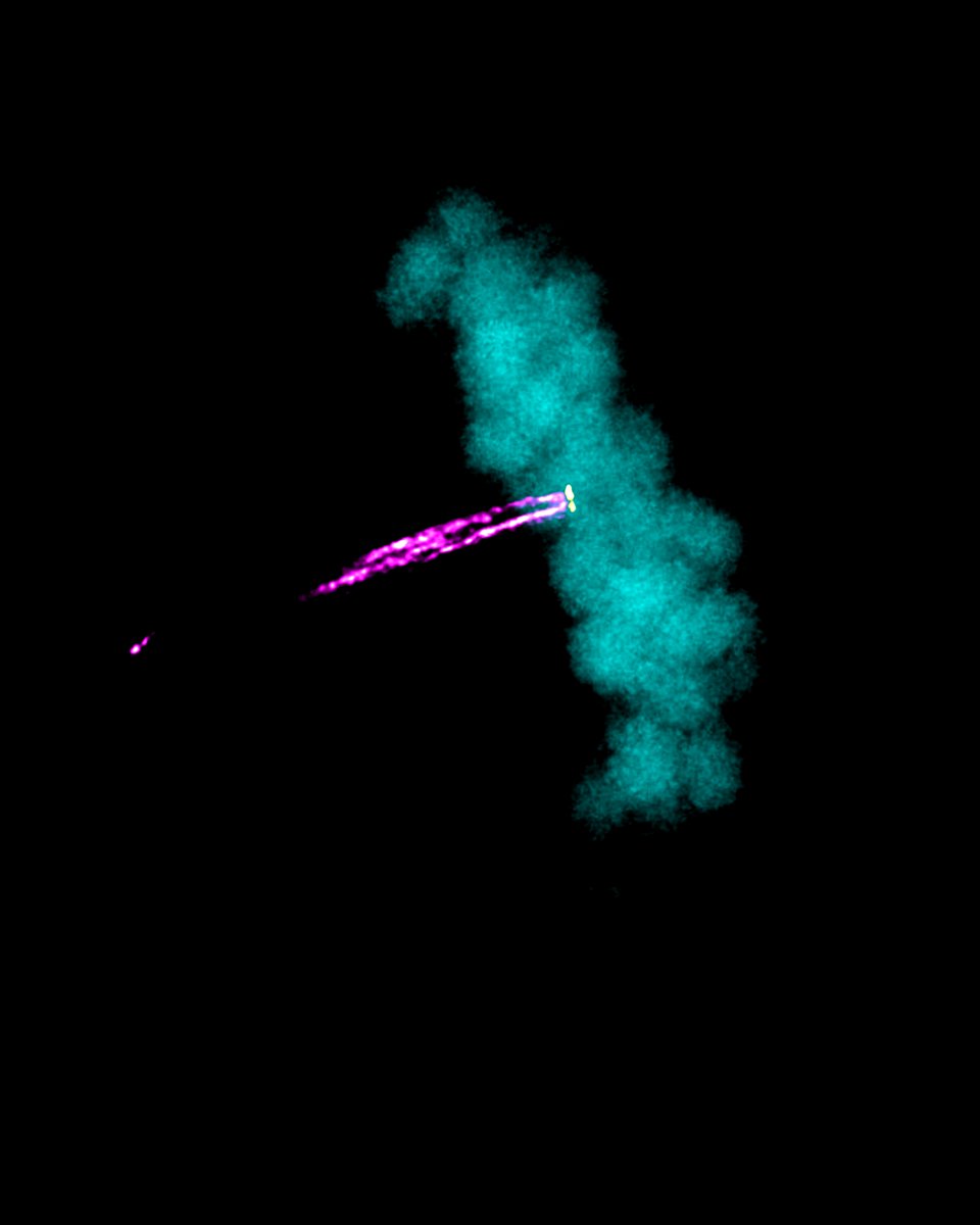 Research from @KopsLab and Earnshaw lab (@EdinburghUni) on centromere structure yields new insights into the mechanisms of chromosome segregation errors which commonly occur in cancer, showing that the centromere consists of two subdomains. @CellCellPress hubrecht.eu/kops-centromer…