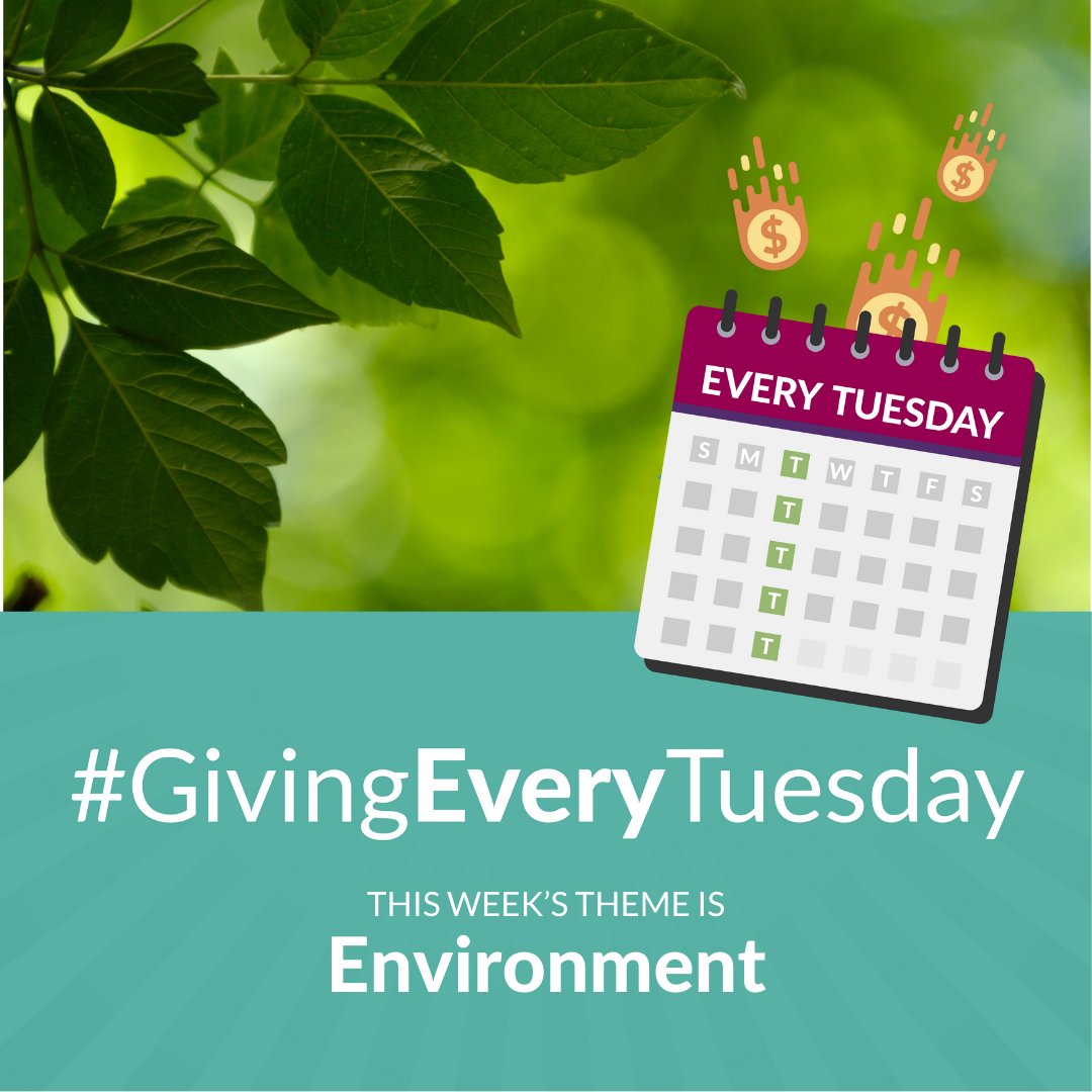 Today's #GivingEveryTuesday theme is the Environment!

'From the air we breathe to the food we eat to the places where we lay our heads at night, everything we touch is connected to our environment, and environmental issues impact us all.'

shareomaha.org/stories/giving…