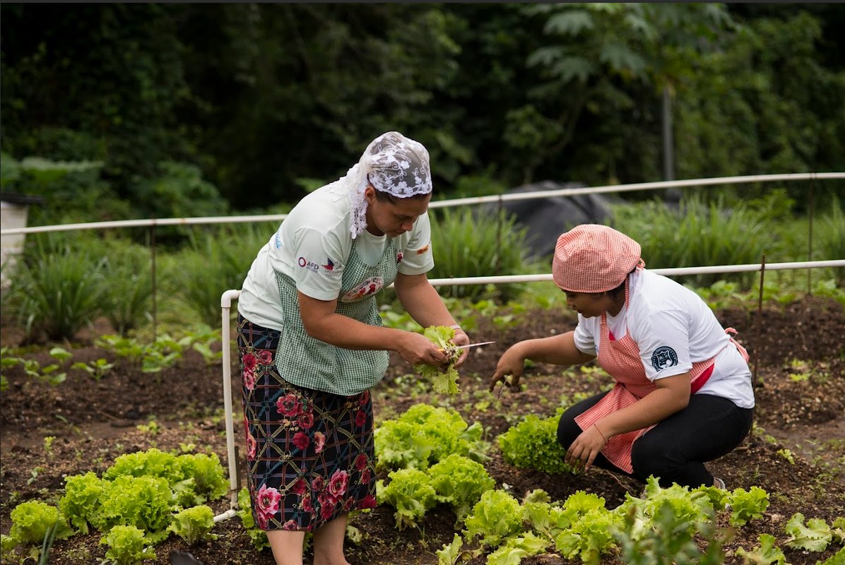 Our @UNDPAccLabs in 🇸🇻 El Salvador is helping empower communities through climate data and learning from their #CollectiveIntelligence experiments.

Discover their #RnD in learning how to enhance farmers' resilience and trust in weather forecasts👇undpacclabs.com/ElSalvadorClim…