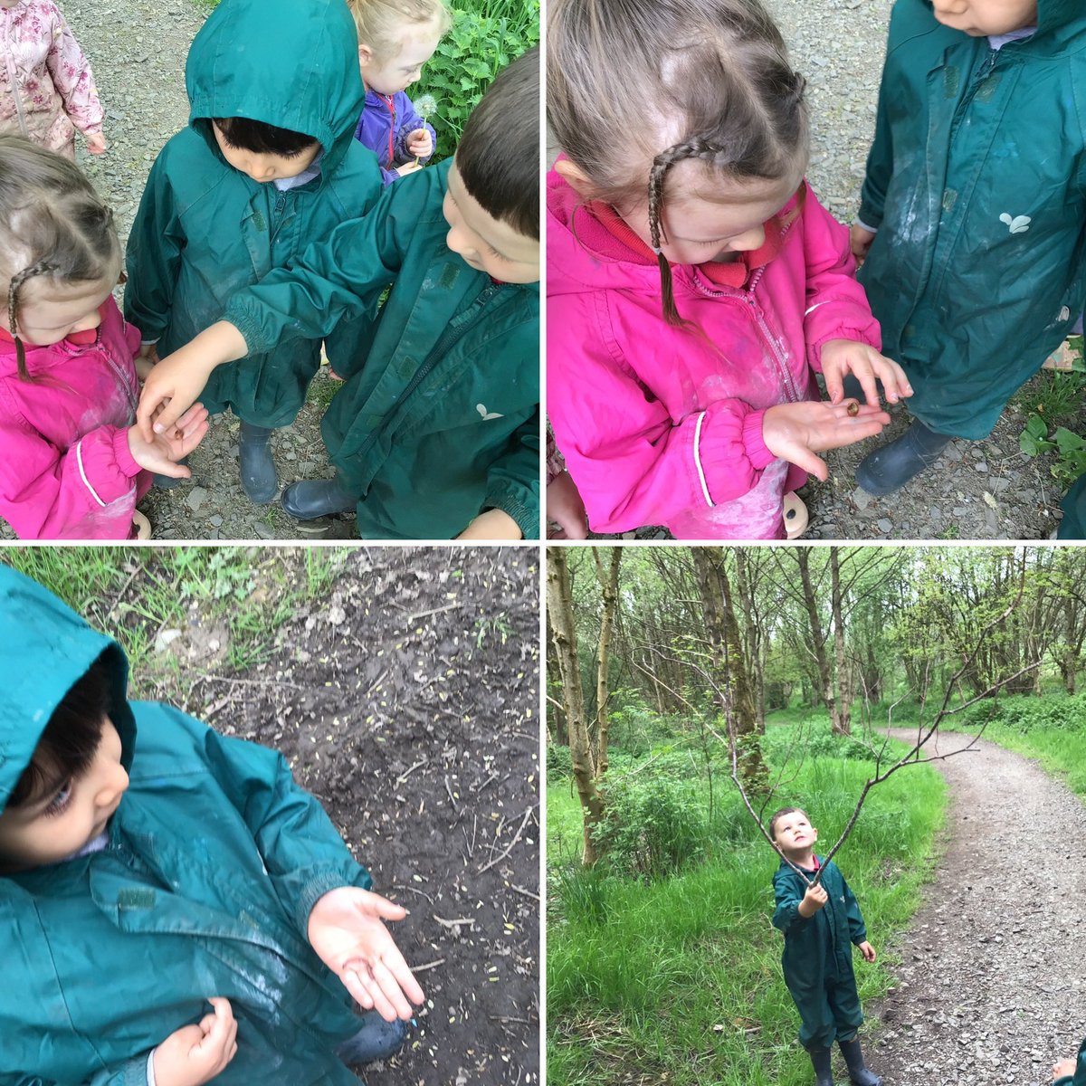 Muddy Monday for our Monkey group. We looked for beasties & worms, explored different paths through the woods & looked for fishes & tadpoles. 💦🪱🐛 #ExploreNature @EACHWBteam @eaclost Exploring our local community. 🌤️