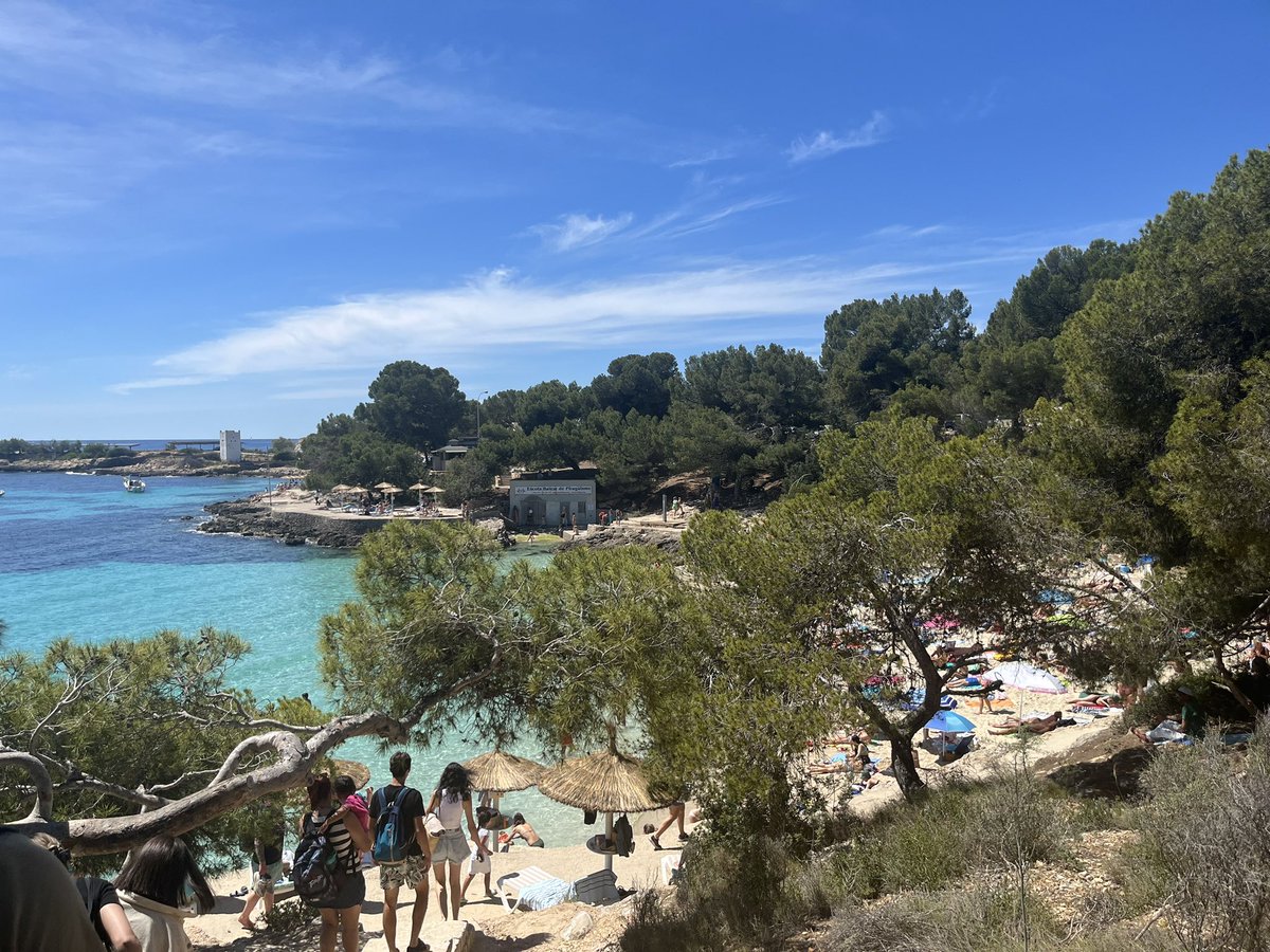 Stacey Humphries tweet media