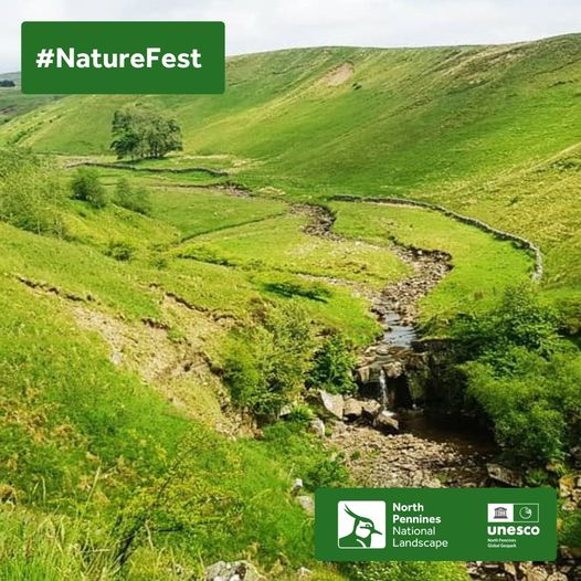Join us for a guided #walk around High Helbeck estate, nr Brough, on 29 May, taking in #waterfalls, wading birds, black grouse & the recent #NatureRecovery work.
Free, suitable for adults & children: northpennines.org.uk/event/a-guided…
#northpenninesnaturefest24 #nature #birdwatching