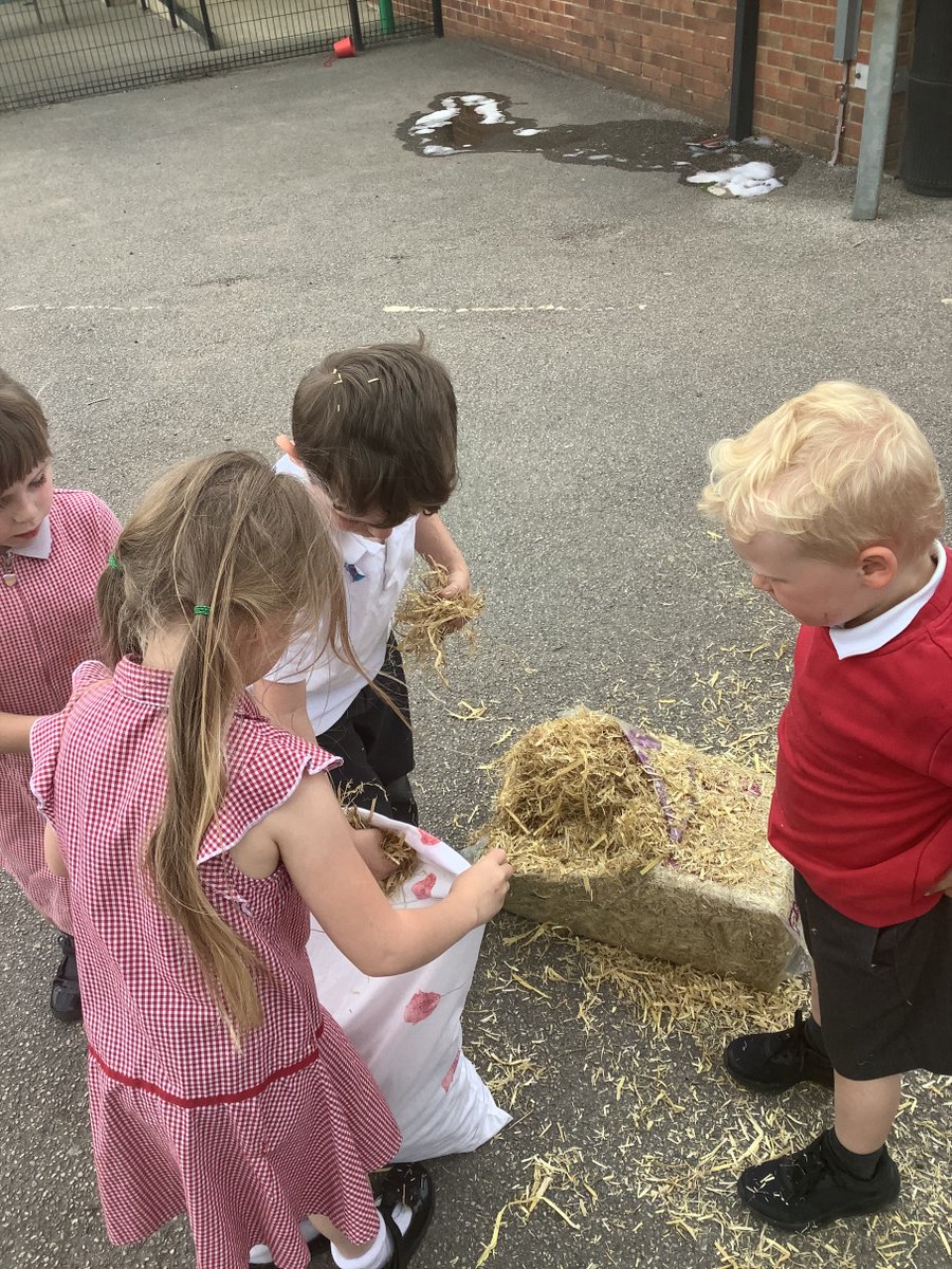 Low Ash Primary tweet media