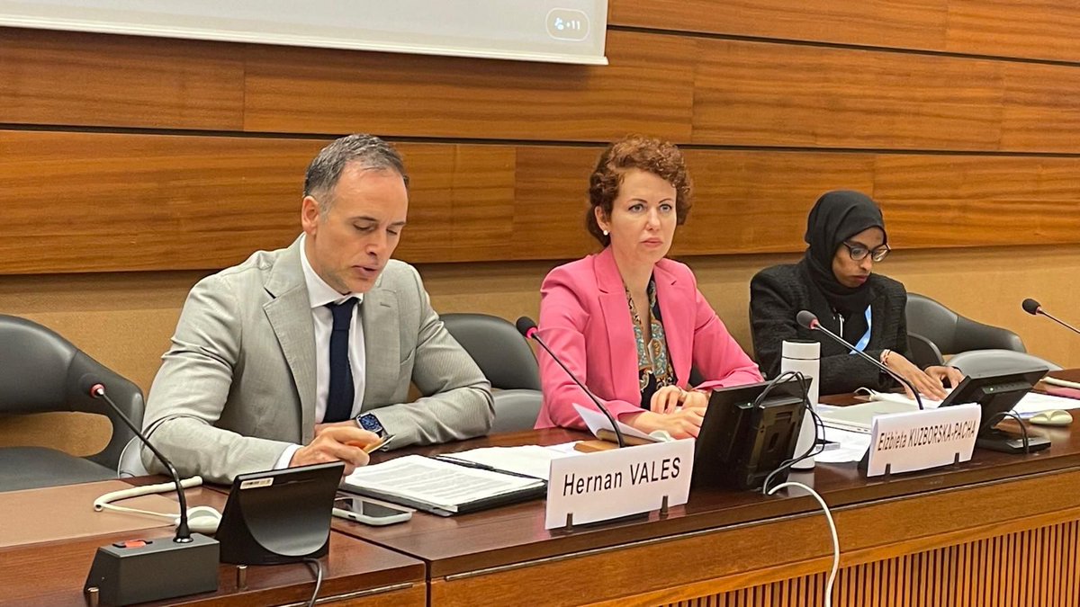 Peace & stability in society depends on our willingness & ability to proactively include youth, especially #MinorityYouth in social & economic life. Our Expert RT in #Geneva today shared insights/good practices/challenges on this. osce.org/hcnm/socio-eco…
