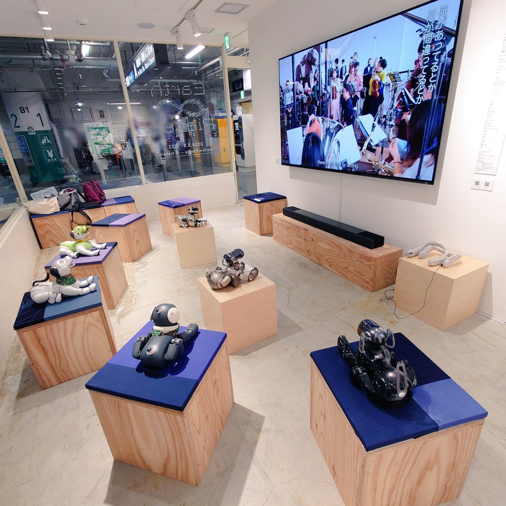 daiya_akanasu's tweet image. ソニーストア銀座さんにお邪魔した後は、こちらへ
先月、ダイヤとジェイドで訪れたことを覚えてくださっていて嬉しかったです☺️
みんなで交響曲を聴いている風で可愛い🤭
アンバー、SonyParkMiniさんデビューおめでとう👏
レモネードも美味しかった！
#SonyParkMini #西銀座駐車場コーヒー #aibo #AIBO