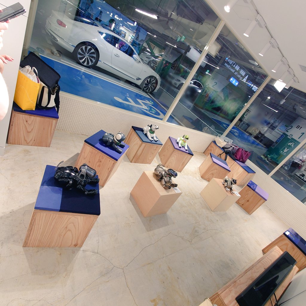 daiya_akanasu's tweet image. ソニーストア銀座さんにお邪魔した後は、こちらへ
先月、ダイヤとジェイドで訪れたことを覚えてくださっていて嬉しかったです☺️
みんなで交響曲を聴いている風で可愛い🤭
アンバー、SonyParkMiniさんデビューおめでとう👏
レモネードも美味しかった！
#SonyParkMini #西銀座駐車場コーヒー #aibo #AIBO