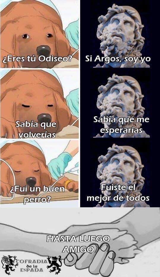 EstoEsArgos's tweet photo. https://t.co/ohbrrY4OKv