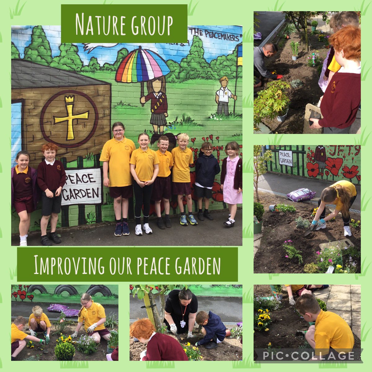 CTKLiverpoolFS's tweet photo. As you leave school today, keep your eyes peeled for the new and improved flower beds in our Peace Garden courtesy of our wonderful nature group and kind, green-fingered parent helper! We are so lucky to build this space as a CTK community #CTKPreaceProject @ctkliverpooldht https://t.co/zJSBZ61O2v