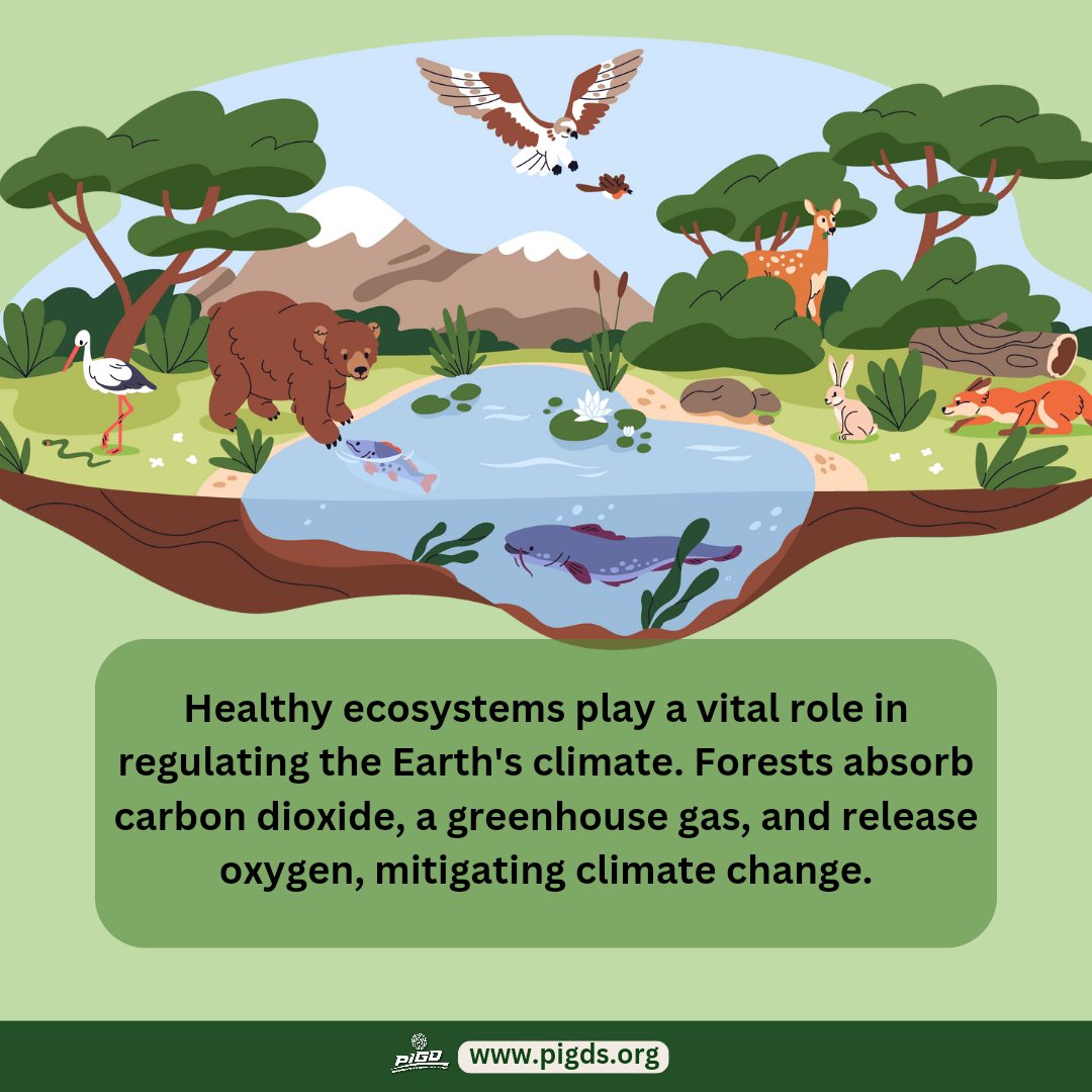 Did you know?? #Ecosystems🪸 are teaming with pollinators like bees, butterflies, and birds? These ensure the reproduction of many plants, including those that provide us with food. Safeguarding biodiversity is critical. Plants🌴, animals🐂, and humans🚶‍♂️are all interconnected…