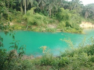 Have you seen a green River before.
You can only have such beautiful nature made look in Akwa Ibom state.
Why not make out time to tour the state.
Invest also in this beautiful state.
#tourism
#Akwaibomstate