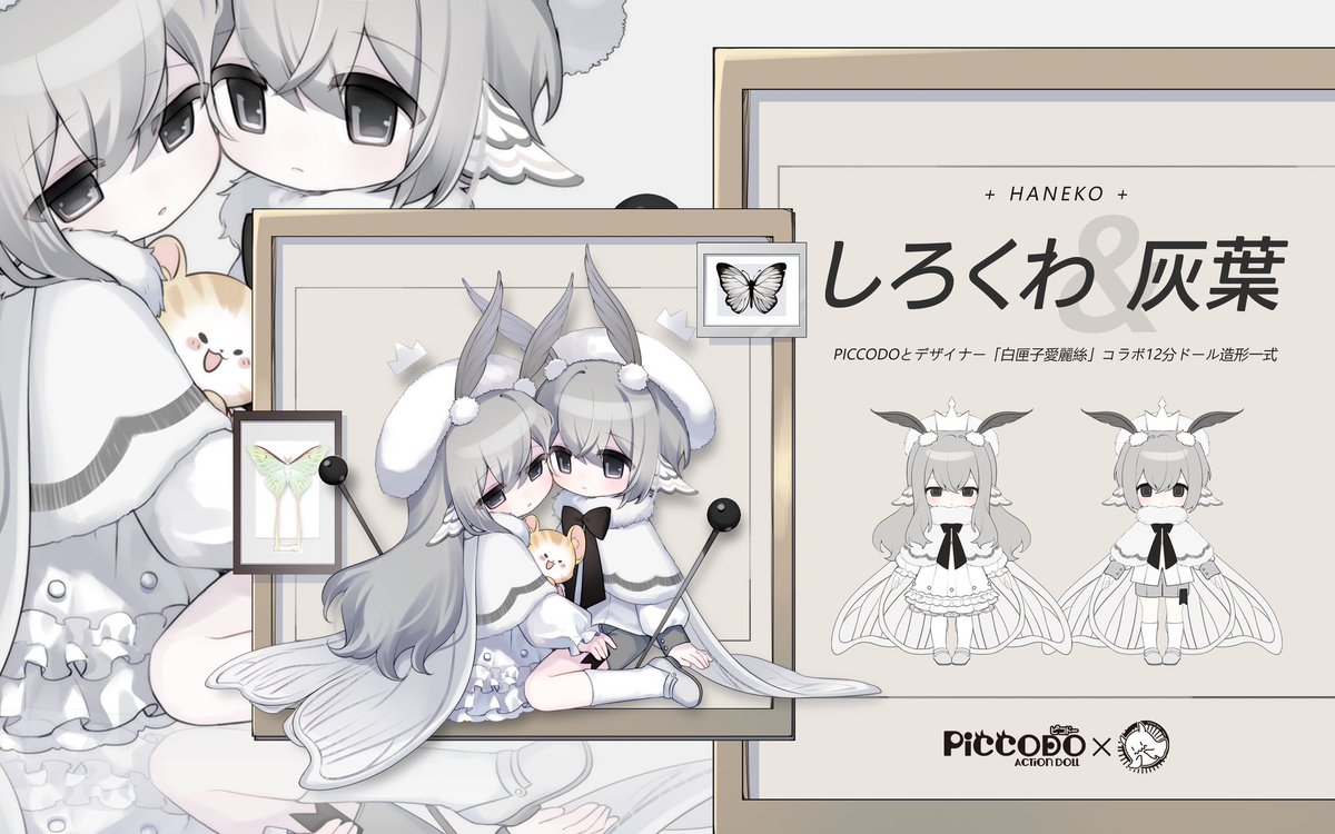 ピコドーから新しい&嬉しい情報をお届けします~✨中国の人気ドール