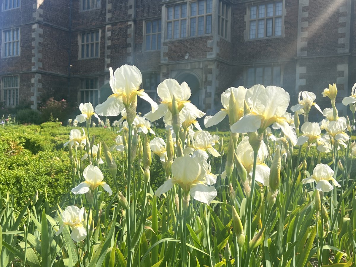 With the Gardens looking spectacular, they will be open daily from Wednesday 15-Sunday 19 May, 10am-4pm 🕰️The Hall is open on Wednesdays, Fridays & Sundays, 11am-4pm (Hall & Gardens will be closed 20-28 May). 🎟️Gardens only tickets available on arrival. #doddingtonhall #nature