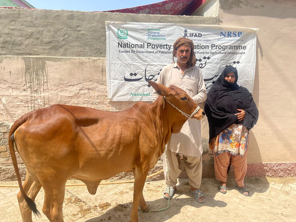 National Poverty Graduation Programme (@npgppk) on Twitter photo Recently 105 assets were distributed among vulnerably poor BISP Pakistan beneficiaries by <a href="/NRSPPakistan/">NRSP Pakistan</a> - Punjab in D.G Khan and Layyah under National Poverty Graduation Programme.
<a href="/IFAD/">International Fund for Agricultural Development</a> ,<a href="/MOPASSPK/">Ministry of Poverty Alleviation and Social Safety</a> ,<a href="/GovtofPakistan/">Government of Pakistan</a> Recently 105 assets were distributed among vulnerably poor BISP Pakistan beneficiaries by <a href="/NRSPPakistan/">NRSP Pakistan</a> - Punjab in D.G Khan and Layyah under National Poverty Graduation Programme.
<a href="/IFAD/">International Fund for Agricultural Development</a> ,<a href="/MOPASSPK/">Ministry of Poverty Alleviation and Social Safety</a> ,<a href="/GovtofPakistan/">Government of Pakistan</a>