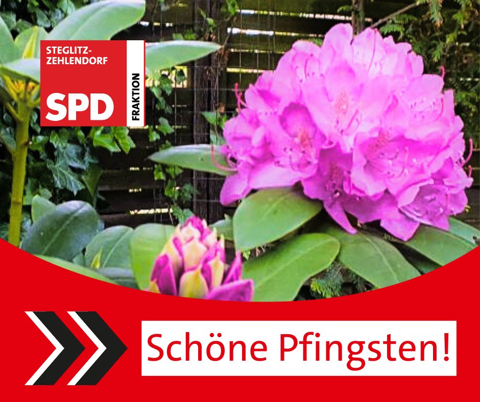 Wir wünschen schöne Pfingsttage!

SPD-Fraktion #Steglitz #Zehlendorf
030-90 299 53 17
post@spd-fraktion-steglitz-zehlendorf.de
#spdsz #bvvsz #steglitzzehlendorf #steze #berlin #lokalpolitik #Pfingsten #Feiertage #fürSievorOrt @spd_steglitzzehlendorf @spdberlin @SPD_SZ