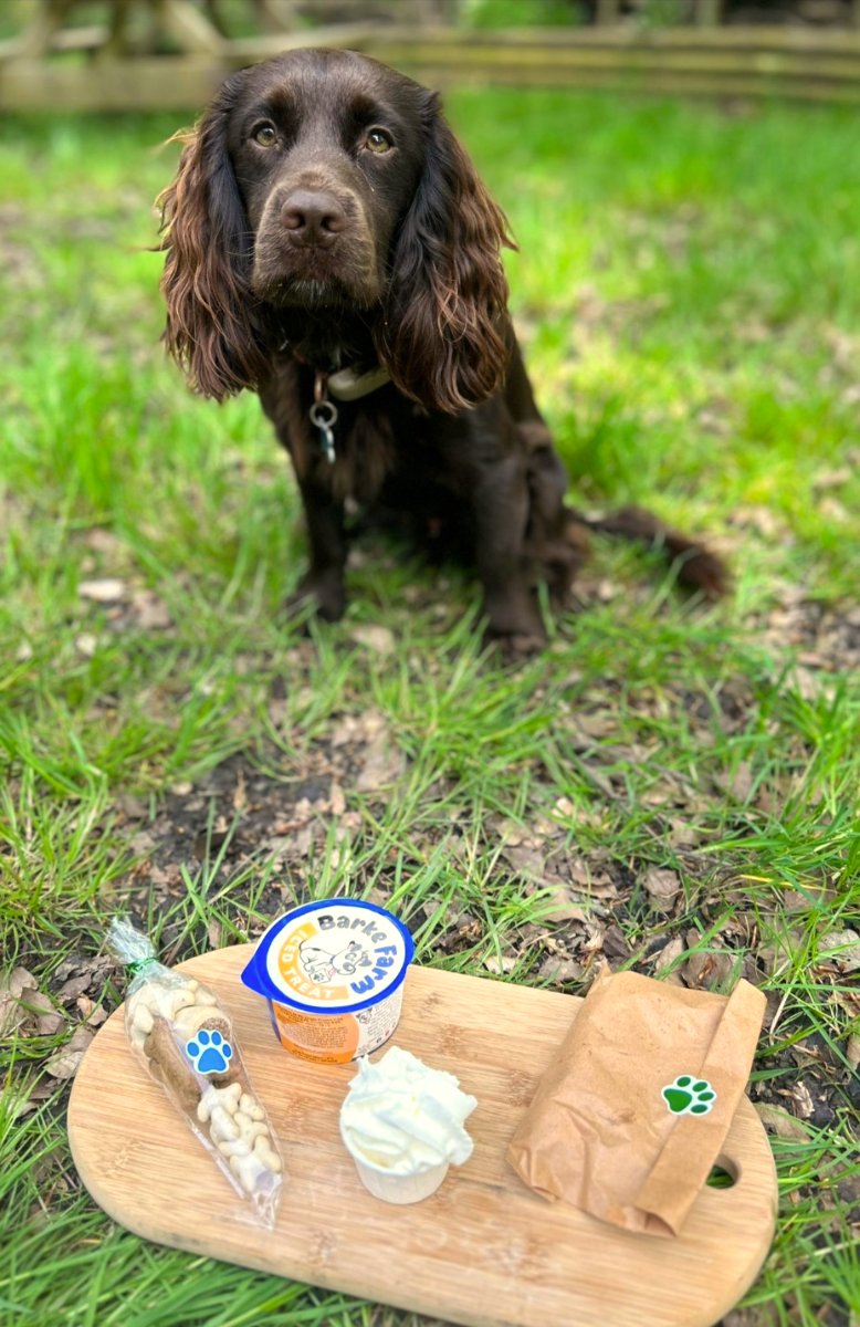 Decisions, decisions…. So much choice for your four-legged friends here at our Northumberlandia café, everything from Doggy sausages to ice cream to puppuccino and lots of treats, what do you think Angus chose on his recent visit? 🐩🍦🦮🧃🐕‍🦺🌭 Now open every day 10am to 4pm