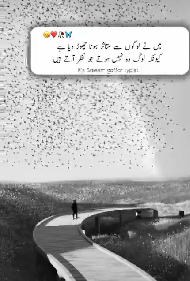 Assalam O Alaikum friends 😍 😍
Good Noon 😍 😍
Have a great day 😍 😍

#X_promo